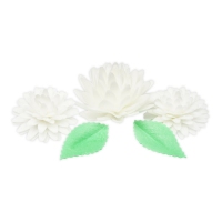 Zestaw kwiatów waflowych - Aster biały